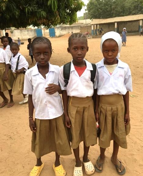 Our July 2024 newsletter